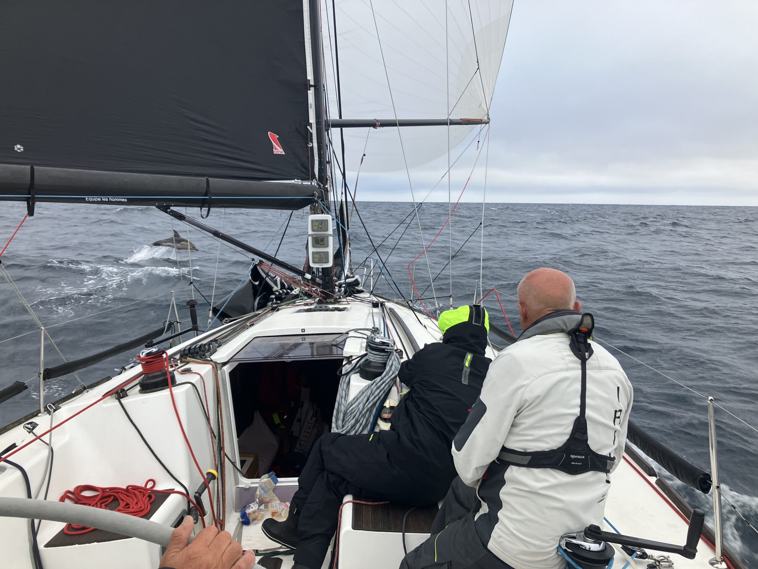 Un dauphin en plein vol sous le vent d'Iritis