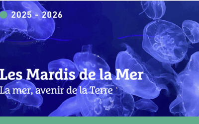 Les Mardis de la Mer