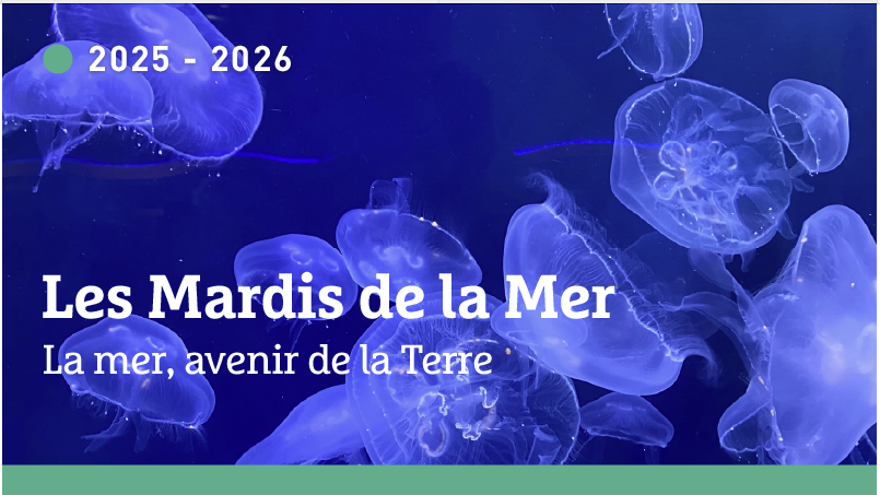 Les Mardis de la Mer