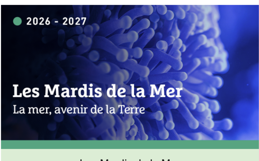 Les Mardis de la Mer